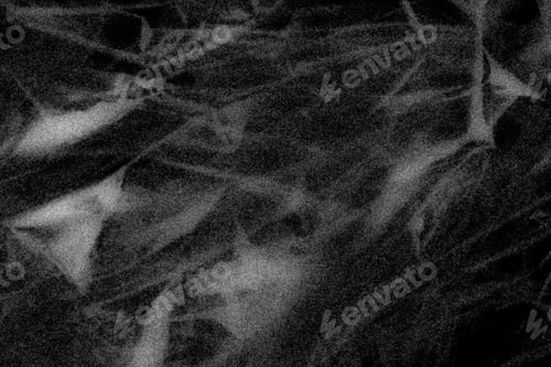 Preview: black abstract gradient texture dark background grain grainy noise