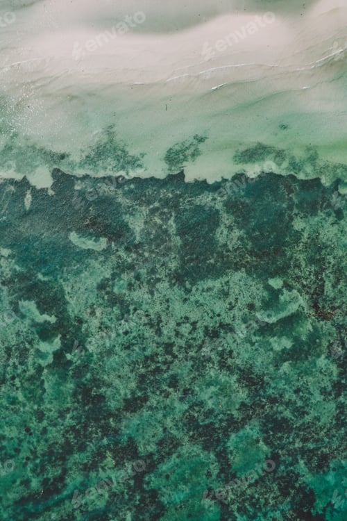 Preview: Bohol - Philippines