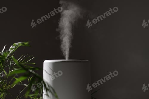 Preview: Air purifier and humidifier releases strong stream of cold steam close green houseplant. Care