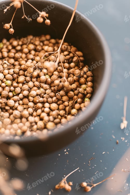 Preview: Coriander seeds