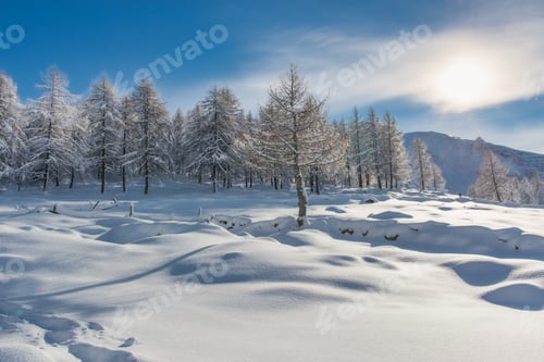 Preview: Winter landscape after a big snowfall