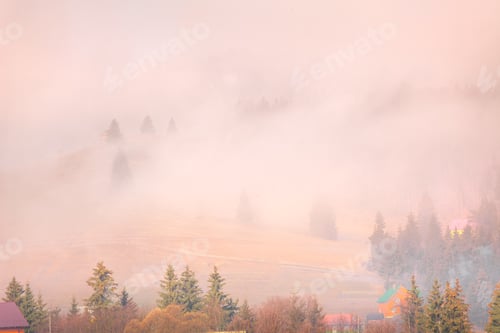 Preview: Foggy autumn landscape