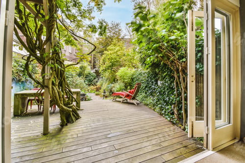 Preview: Cozy courtyard of a house with green trees