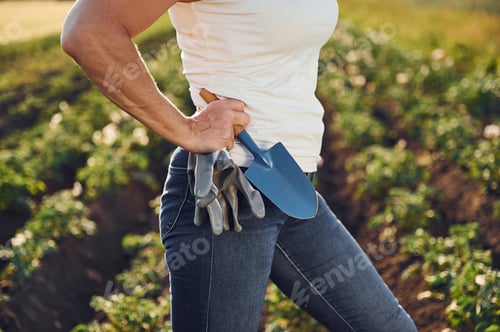Preview: Close up view. With gloves and little showel. Woman is on the agricultural field at daytime