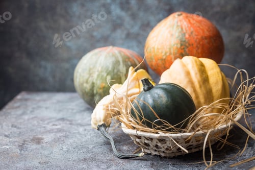 Preview: raw pumpkins in a basket