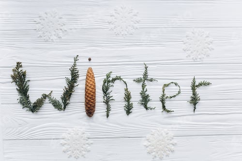 Preview: Winter ornament with tree branches and cone.