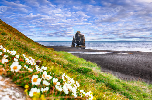 Preview: view of Hvitserkur unique basalt rock in Iceland.