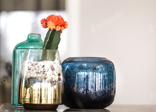 Preview: Colored vases and cactus in the interior of the cafe. East style