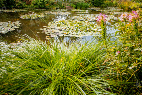 Preview: Claud Monet's garden in Giverny
