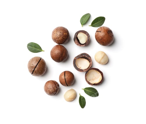 Preview: Composition with organic Macadamia nuts on white background, top view