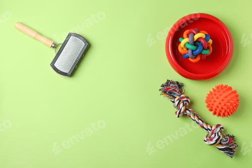 Preview: Flat lay composition with accessories for dog on color background. Pet care