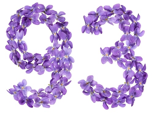 Preview: Arabic numeral 93, ninety three, from flowers of viola, isolated on white background