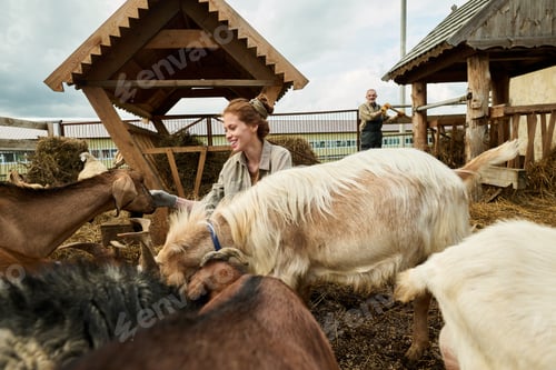Preview: Daughter of mature farmer feeding goats