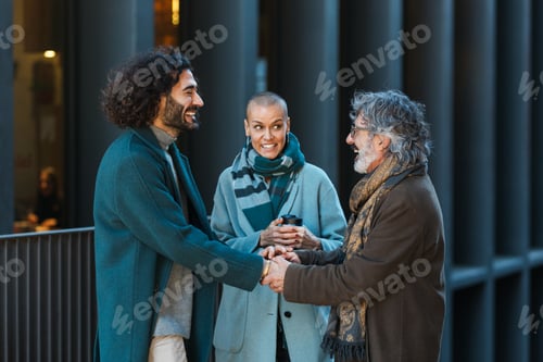 Preview: Professional business people shaking hands while talking outdoors on the street