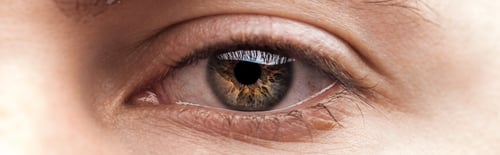 Preview: close up view of human eye, panoramic shot