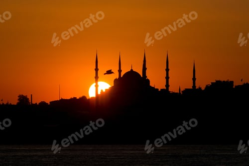 Preview: A silhouette of the Blue Mosque at sunset in Istanbul with a bird flying by.