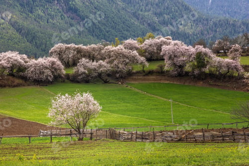 Preview: Beautiful view of the Galang village in Bomi county, Tibet