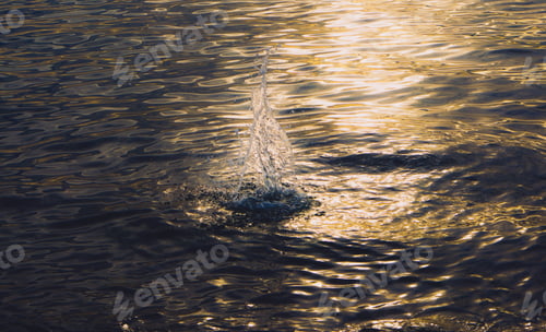 Preview: Splash in the water.
