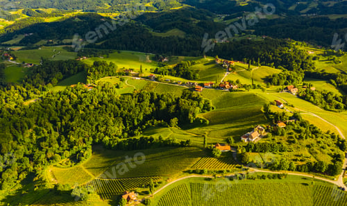 Preview: Aerial view of green hills and vineyards with mountains in background. Austria vineyards landscape