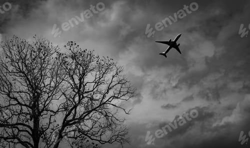 Preview: Silhouette commercial airplane on grey sky and clouds with death tree. Failed vacation. Hopeless