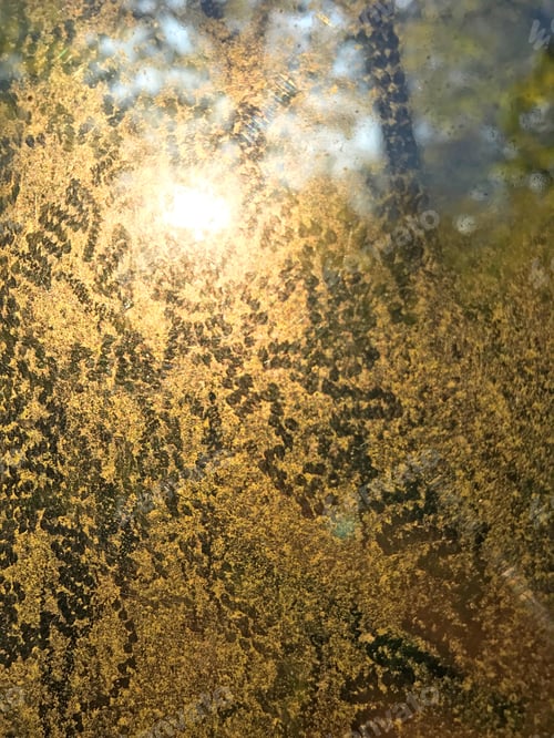 Bright Abstract Nature Scene with Golden Sunlight