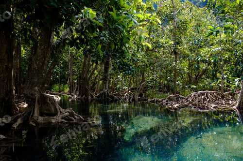 Preview: National Park in Krabi Province, Thailand with mangrove forests