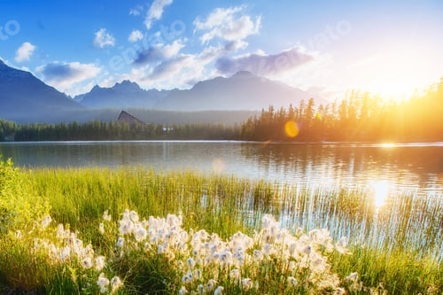 Preview: Majestic mountain lake in National Park High Tatra. Strbske ples