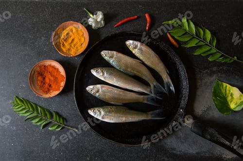 Preview: Raw fish on a pan