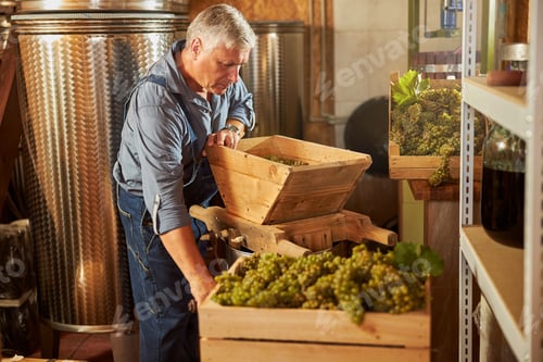 Preview: Aging winemaker being busy at his winery