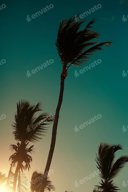 Preview: Photo in retro style with volleyball net on beach and palms behind blue summer sky
