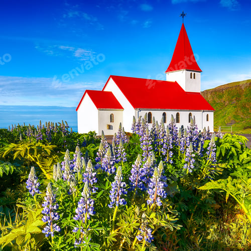 Preview: Splendid view of Vikurkirkja christian church in blooming lupine flowers