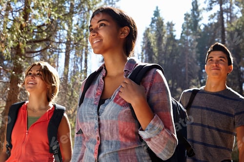 Preview: Three young adult friends hiking in forest, Los Angeles, California, USA
