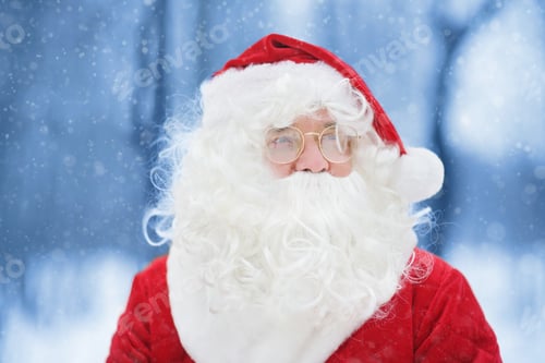 Preview: Close-up portrait of Santa Claus in snowy winter forest
