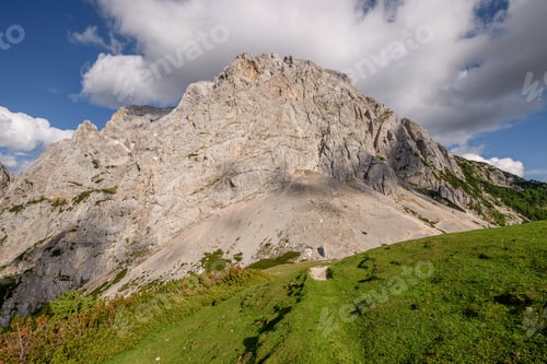 Preview: Flowers, path and trees on the way to the summit of a mountain.