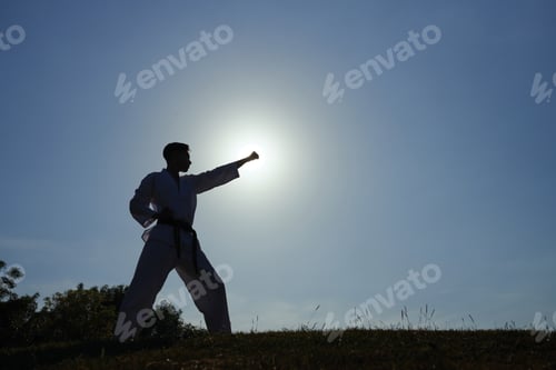 Preview: Young Man Taekwondo Stance