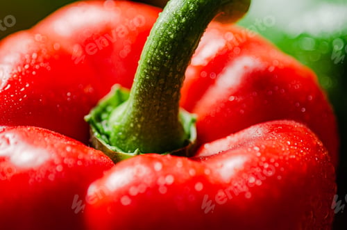 Fresh Red Bell Pepper with Green Stem Close-Up