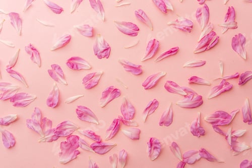 Preview: Scattered Delicate Pink Flower Petals on Pastel Background
