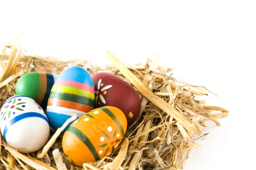 Preview: Colorful easter eggs nestling in straw on white background
