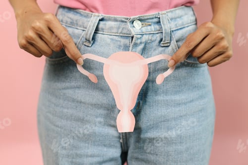 Preview: Female Reproductive System, Cervical Cancer.