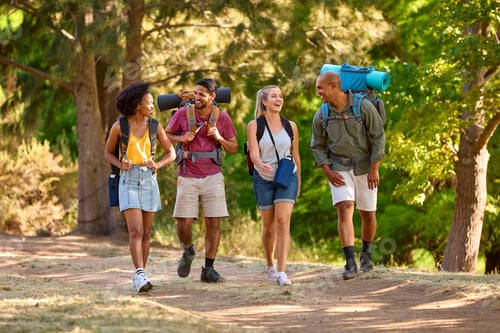 Preview: Group Of Friends With Backpacks On Vacation Hiking Through Forest Countryside Together