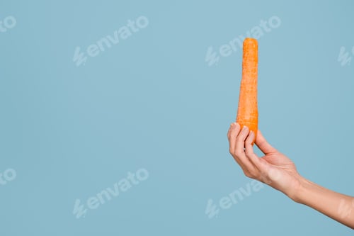 Preview: female hand with fresh whole carrot isolated on blue