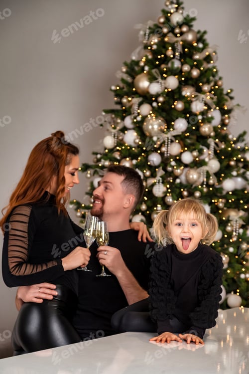 Visualização: Família comemora as festas de fim de ano com espumante e uma árvore de Natal dentro de casa