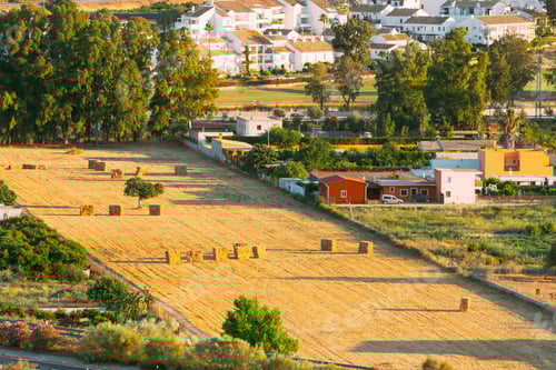 Preview: Andalusia region, Spain. Elevated View Of Rural Landscape Field With Hay Bales Rolls