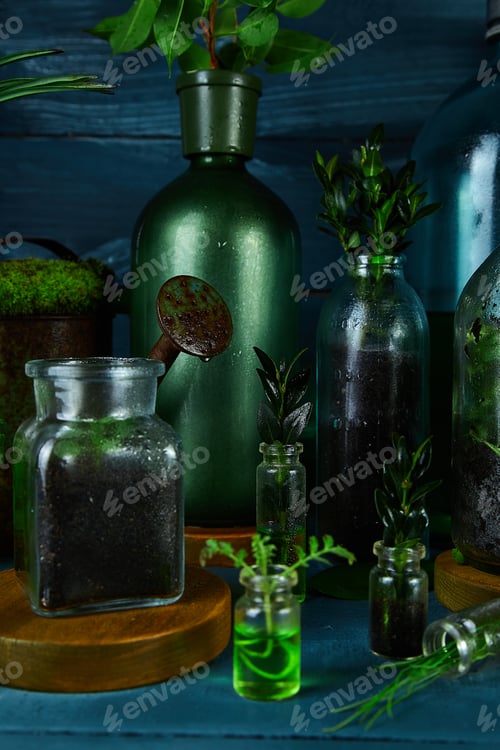 Preview: Mini glass vases and bottle with green leaves, plants.