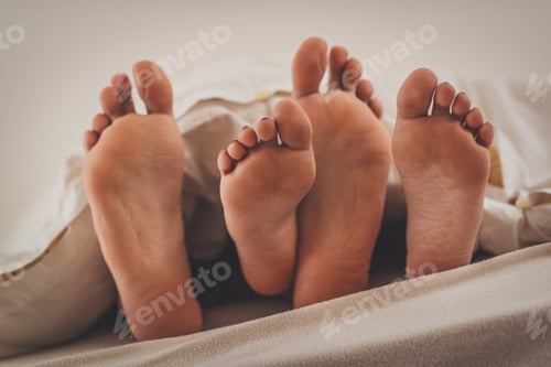 Preview: Happy Feet
