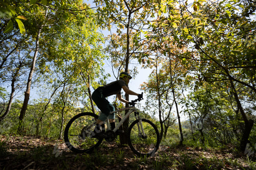 Preview: Mountain biking in spring forest