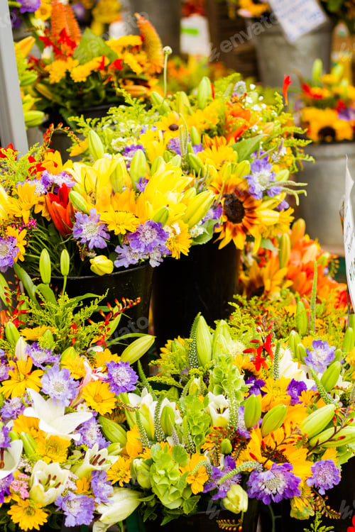 Preview: Summer flowers