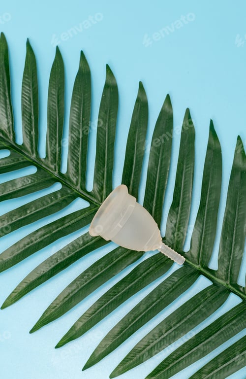 Preview: Menstrual cup and palm branch on a blue background.
