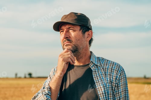 Preview: Portrait of male farmer standing in ripe wheat field and thinking