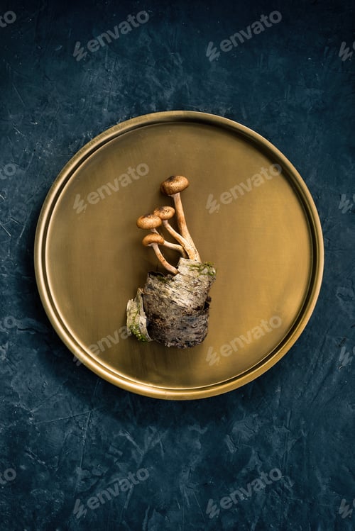 Preview: Decorative composition of mushrooms, birch bark and forest leaves on a copper plate